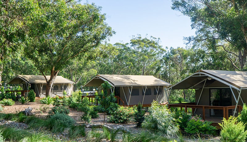 koala sanctuary port stephens accommodation