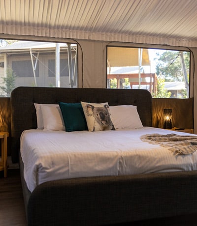 koala sanctuary port stephens accommodation